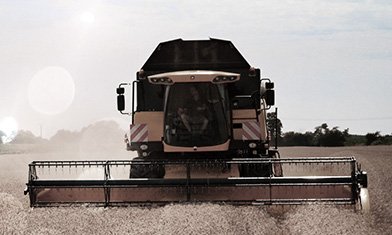 Agriculture